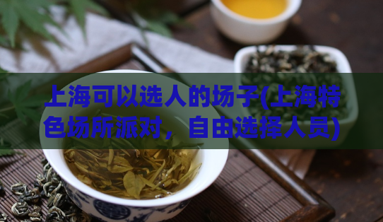 上海可以选人的场子(上海特色场所派对，自由选择人员)