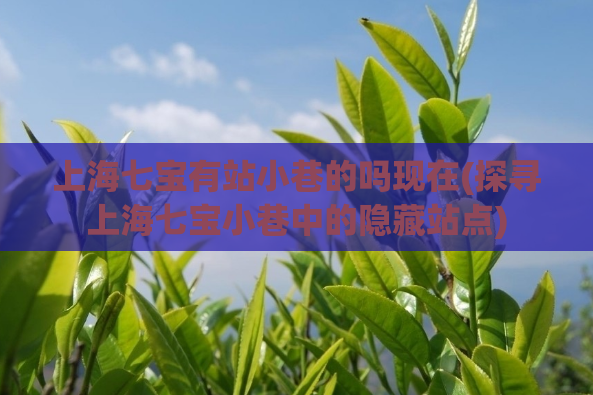 上海七宝有站小巷的吗现在(探寻上海七宝小巷中的隐藏站点)
