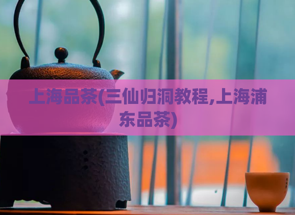 上海品茶(三仙归洞教程,上海浦东品茶)