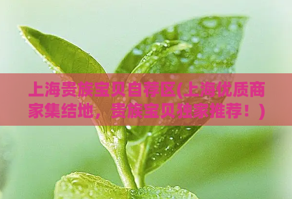 上海贵族宝贝自荐区(上海优质商家集结地，贵族宝贝独家推荐！)
