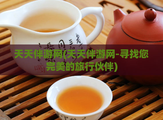 天天伴游网(天天伴游网-寻找您完美的旅行伙伴)