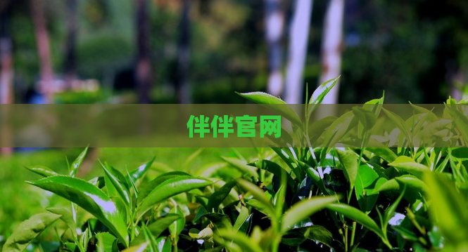 伴伴官网