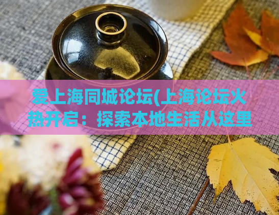 爱上海同城论坛(上海论坛火热开启:探索本地生活从这里开始)