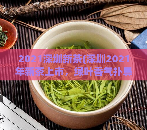 2021深圳新茶(深圳2021年新茶上市,绿叶香气扑鼻)