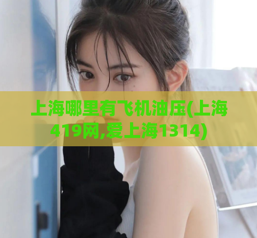 上海哪里有飞机油压(上海419网,爱上海1314)