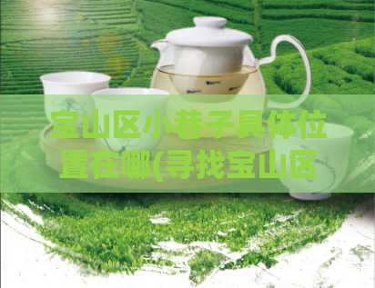 宝山区小巷子具体位置在哪(寻找宝山区小巷子,探寻其位置)
