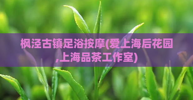 枫泾古镇足浴按摩(爱上海后花园,上海品茶工作室)