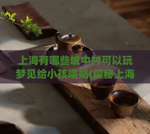 上海有哪些城中村可以玩梦见给小孩喂奶(探秘上海城中村：哪些区域适合家庭带小孩散步、喂奶？)