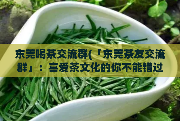 东莞喝茶交流群(「东莞茶友交流群」：喜爱茶文化的你不能错过的交际圈！)