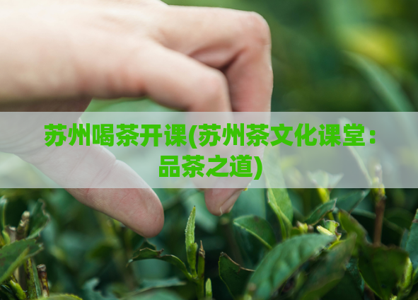 苏州喝茶开课(苏州茶文化课堂：品茶之道)