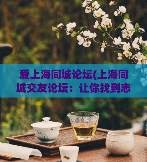 爱上海同城论坛(上海同城交友论坛：让你找到志趣相投的人！)