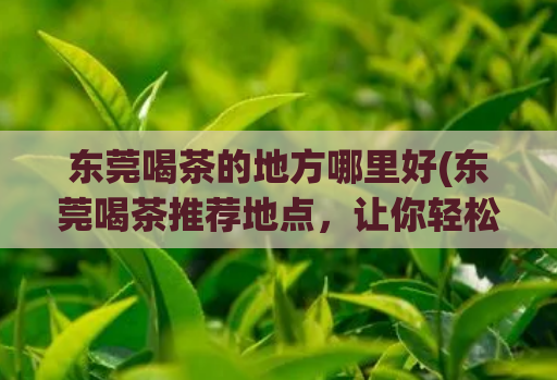 东莞喝茶的地方哪里好(东莞喝茶推荐地点,让你轻松品尝正宗茶香)