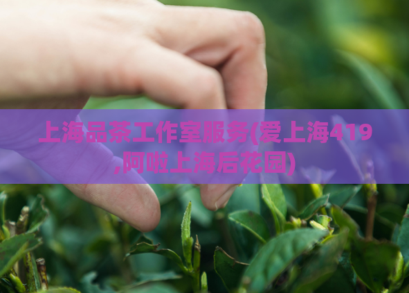 上海品茶工作室服务(爱上海419,阿啦上海后花园)