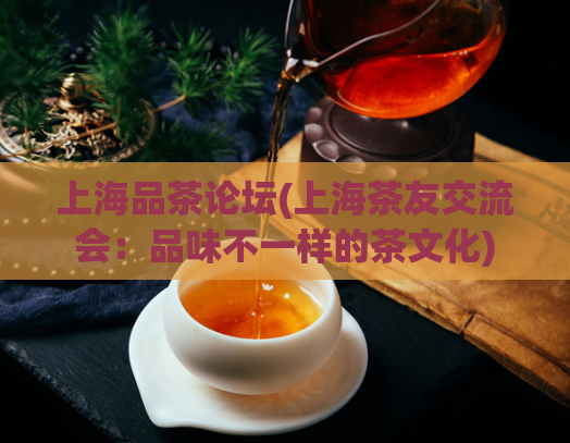 上海品茶论坛(上海茶友交流会：品味不一样的茶文化)