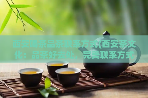 西安喝茶品茶联系方式(西安茶文化：品茶好去处，完美联系方式)