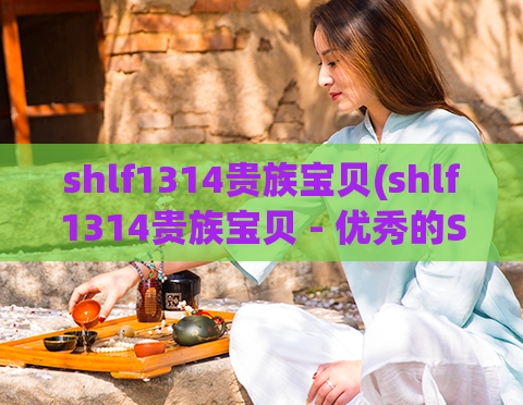 shlf1314贵族宝贝(shlf1314贵族宝贝 - 优秀的SEO工具哪家强？)