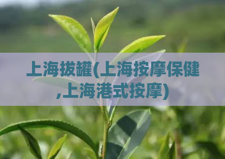 上海拔罐(上海按摩保健,上海港式按摩)
