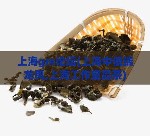 上海gm论坛(上海中低端龙凤,上海工作室品茶)