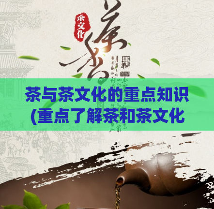 茶与茶文化的重点知识(重点了解茶和茶文化)