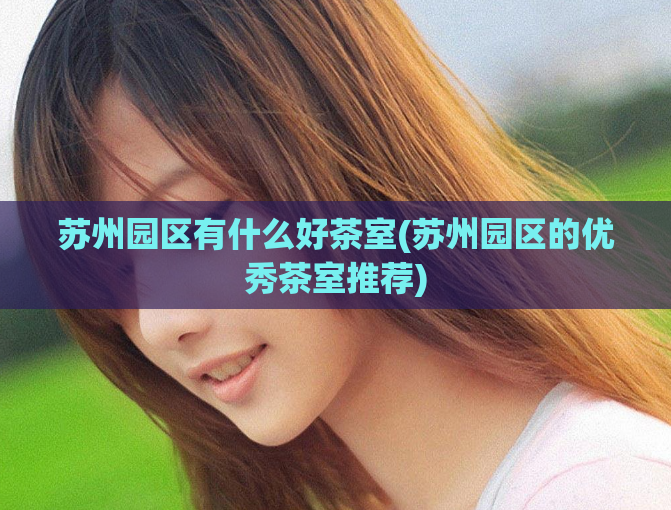 苏州园区有什么好茶室(苏州园区的优秀茶室推荐)