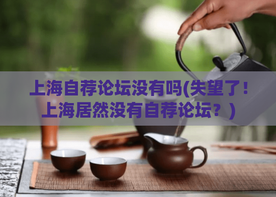 上海自荐论坛没有吗(失望了！上海居然没有自荐论坛？)