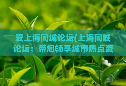 爱上海同城论坛(上海同城论坛：带您畅享城市热点资讯)