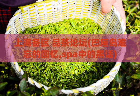 上海各区 品茶论坛(巴厘岛难忘的回忆,spa中的黑话)