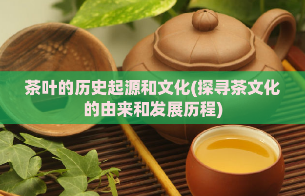 茶叶的历史起源和文化(探寻茶文化的由来和发展历程)