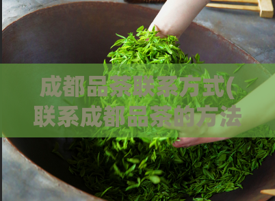成都品茶联系方式(联系成都品茶的方法大全)