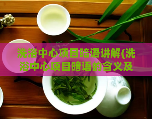 洗浴中心项目暗语讲解(洗浴中心项目暗语的含义及应用解析)