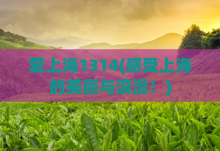 爱上海1314(感受上海的美丽与浪漫!)