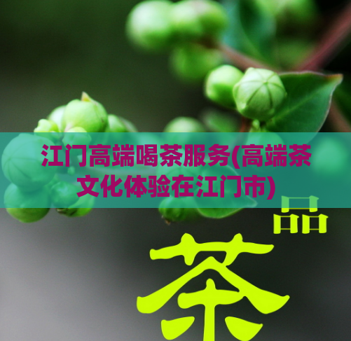 江门高端喝茶服务(高端茶文化体验在江门市)