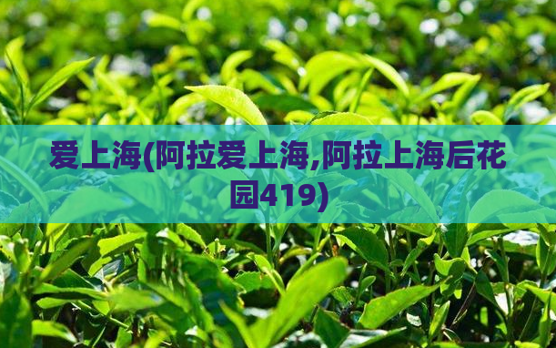 爱上海(阿拉爱上海,阿拉上海后花园419)