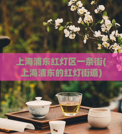 上海浦东红灯区一条街(上海浦东的红灯街道)