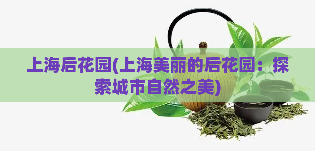 上海后花园(上海美丽的后花园:探索城市自然之美)