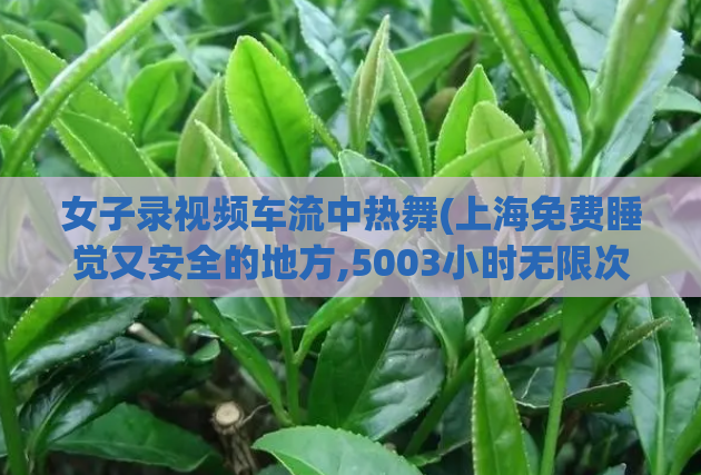 女子录视频车流中热舞(上海免费睡觉又安全的地方,5003小时无限次套路)