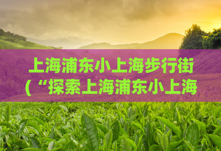 上海浦东小上海步行街(“探索上海浦东小上海步行街:步行旅游的必去之地”)