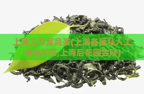 上海工作室品茶(上海各区私人工作室品茶,上海后花园会所)