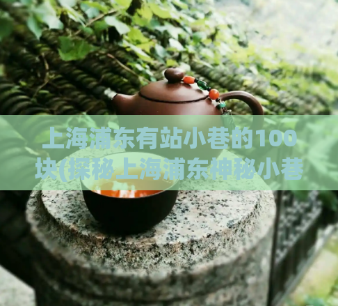 上海浦东有站小巷的100块(探秘上海浦东神秘小巷，发现隐藏的100块宝藏)
