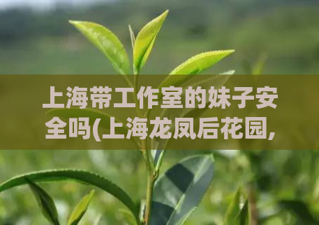 上海带工作室的妹子安全吗(上海龙凤后花园,爱上海419论坛)