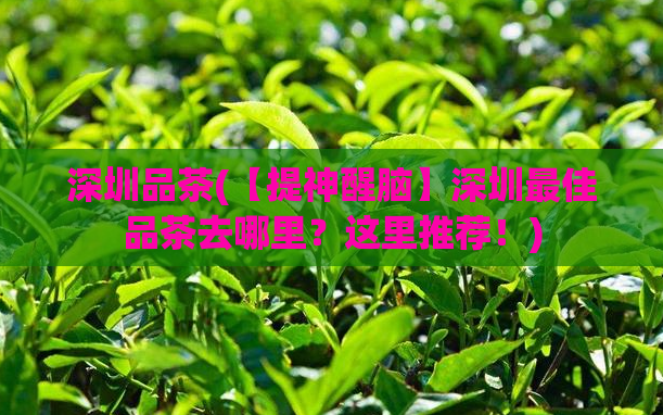 深圳品茶(【提神醒脑】深圳最佳品茶去哪里？这里推荐！)