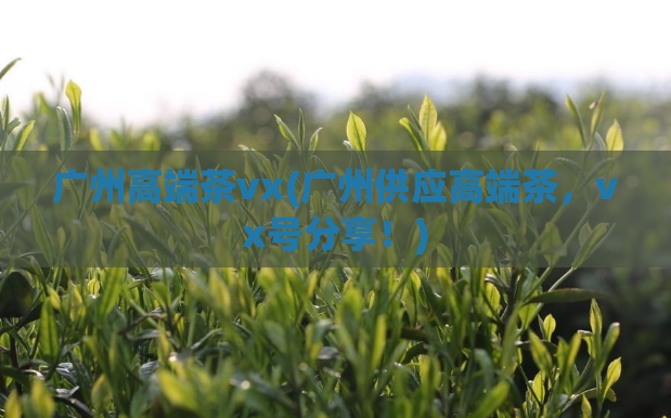 广州高端茶vx(广州供应高端茶，vx号分享！)