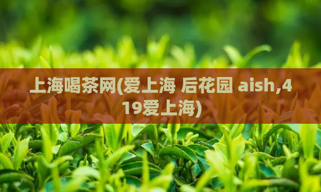 上海喝茶网(爱上海 后花园 aish,419爱上海)
