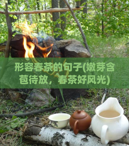 形容春茶的句子(嫩芽含苞待放，春茶好风光)