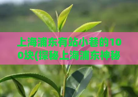 上海浦东有站小巷的100块(探秘上海浦东神秘小巷：隐藏的100元宝藏)