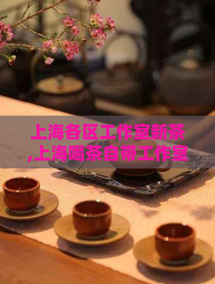 上海各区工作室新茶,上海喝茶自带工作室,上海各区工作室新茶