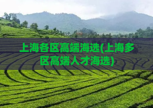 上海各区高端海选(上海多区高端人才海选)