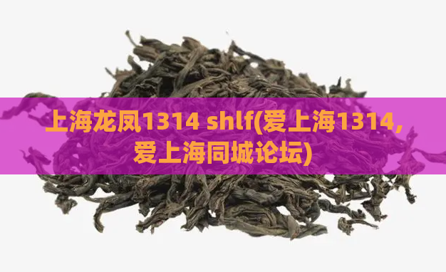 上海龙凤1314 shlf(爱上海1314,爱上海同城论坛)