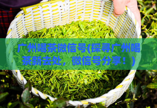 广州喝茶微信号(探寻广州喝茶新去处，微信号分享！)