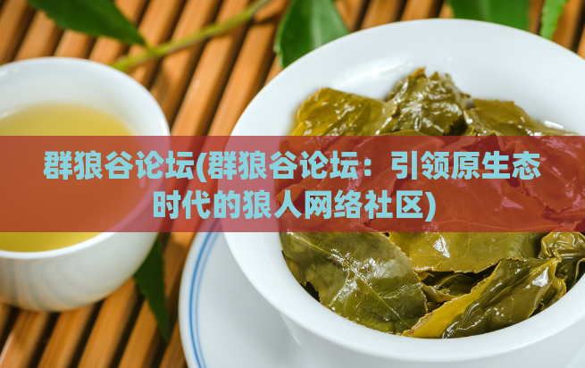 群狼谷论坛(群狼谷论坛：引领原生态时代的狼人网络社区)